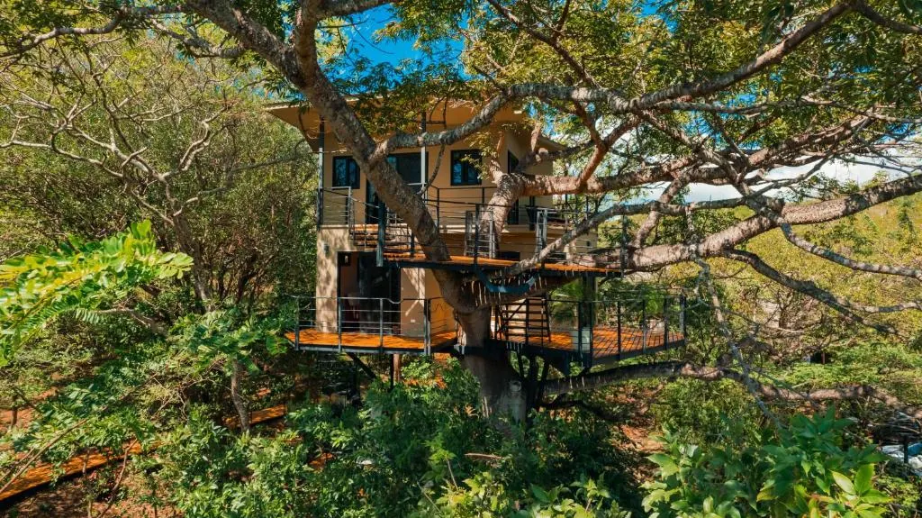 A wooden treehouse suite suspended in the canopy at TreeCasa, surrounded by jungle